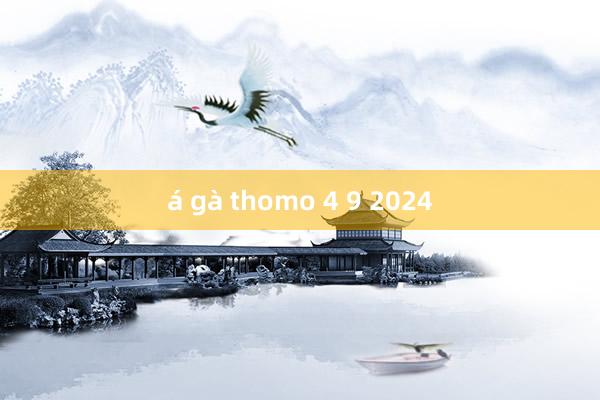 á gà thomo 4 9 2024