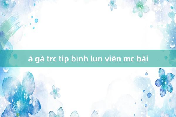 á gà trc tip bình lun viên mc bài