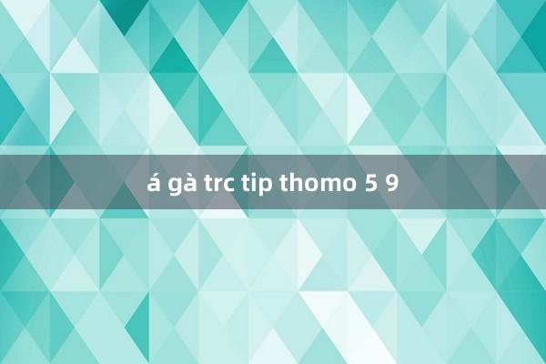 á gà trc tip thomo 5 9