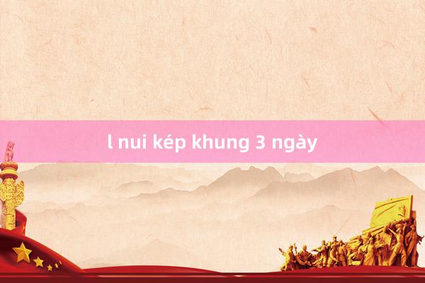 l nui kép khung 3 ngày