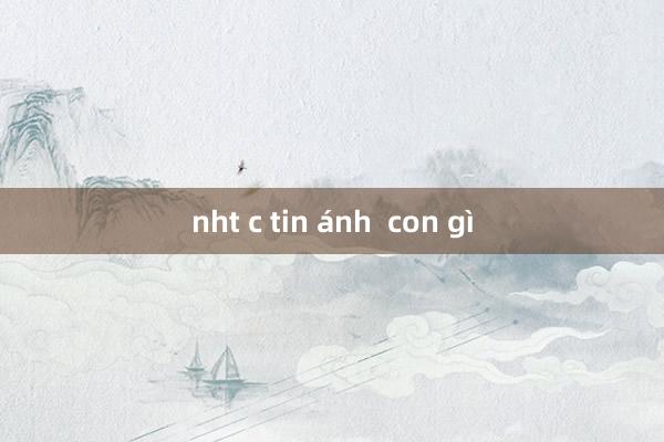 nht c tin ánh  con gì