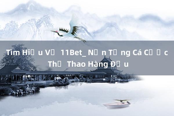 Tìm Hiểu Về 11Bet_ Nền Tảng Cá Cược Thể Thao Hàng Đầu