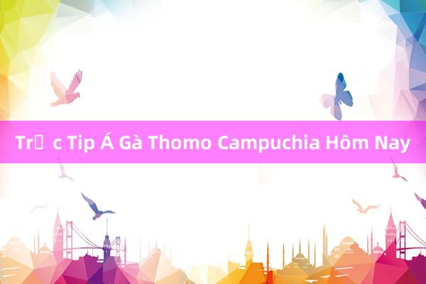 Trắc Tip Á Gà Thomo Campuchia Hôm Nay