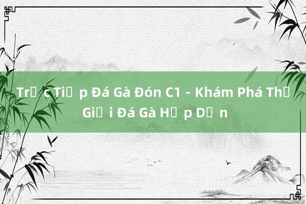 Trực Tiếp Đá Gà Đón C1 - Khám Phá Thế Giới Đá Gà Hấp Dẫn