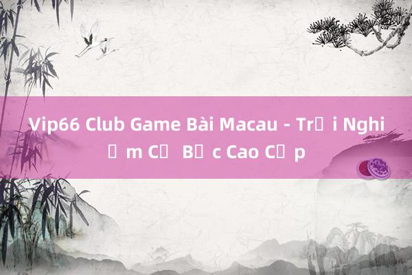 Vip66 Club Game Bài Macau - Trải Nghiệm Cờ Bạc Cao Cấp