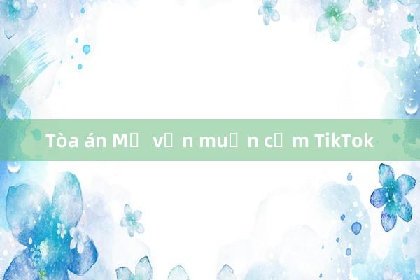 Tòa án Mỹ vẫn muốn cấm TikTok