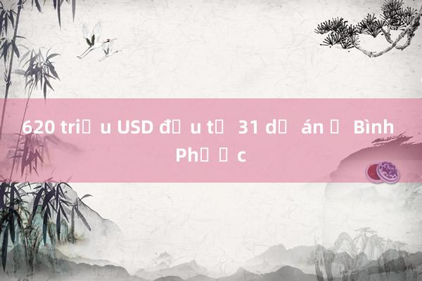 620 triệu USD đầu tư 31 dự án ở Bình Phước