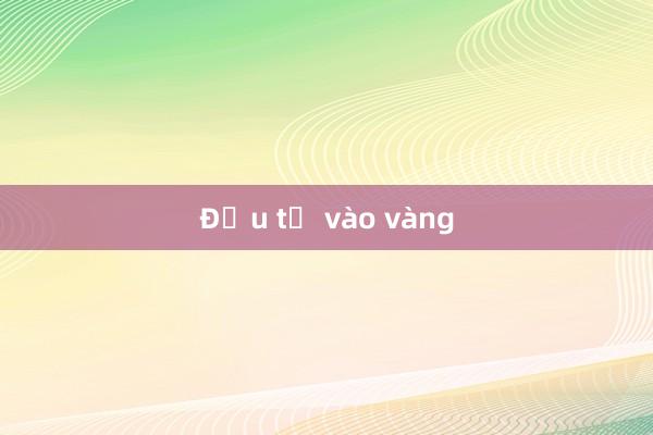 Đầu tư vào vàng